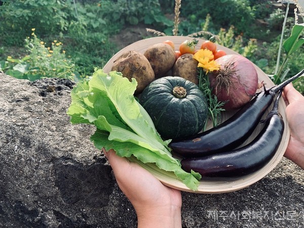 농사를 짓다